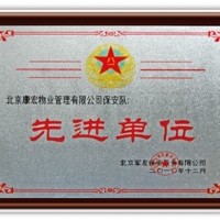 2010先进企业