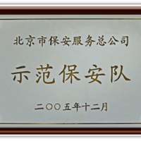 示范保安队