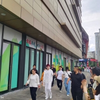 明星安保